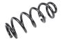 Image of Coil Spring (Rear) image for your 2019 Chevrolet Equinox 2.0L Ecotec A/T 4WD Premier Sport Utility 