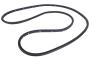 Image of Door Seal (Front) image for your 2021 Buick Enclave    