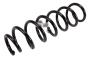 84231476 Coil Spring (Front)