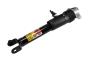 84235051 Suspension Shock Absorber (Rear)