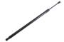 84237647 Liftgate Lift Support