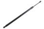 84237648 Liftgate Lift Support