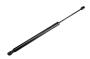 84298334 Liftgate Lift Support