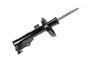 84300601 Suspension Strut (Front)