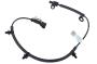 ABS Wheel Speed Sensor (Rear)