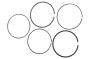 Engine Piston Ring