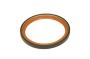 90325571 Engine Crankshaft Seal (Rear)