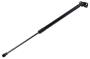 Image of Liftgate Lift Support image for your 2001 Chevrolet Blazer LT Sport Utility 4.3L Vortec V6 A/T 4WD 