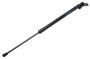 Image of Liftgate Lift Support image for your 2001 Chevrolet Blazer LT Sport Utility 4.3L Vortec V6 A/T 4WD 