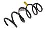 95167227 Coil Spring. Spring. (Front)