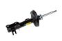 Image of Suspension Strut (Front) image for your 2009 Chevrolet Equinox   