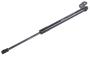 Image of Liftgate Lift Support image for your 2001 Chevrolet Blazer LT Sport Utility 4.3L Vortec V6 A/T 4WD 