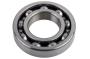 Transfer Case Output Shaft Bearing