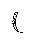 View 44337-SB0-300 Full-Sized Product Image