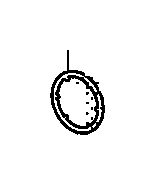 View 25560-R3W-003 Full-Sized Product Image