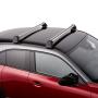 View Roof Rack, Crossbars Full-Sized Product Image 1 of 1