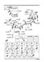 Diagram FUEL PIPINGS for your 2011 Mazda Miata