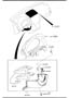 Diagram DASHBOARD EQUIPMENTS for your 2008 Mazda Mazda 5