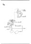Diagram BRAKE PEDAL (AUTOMATIC TRANSMISSION) for your Mazda CX-9