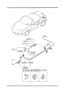 Diagram FUEL LID OPENER for your 1996 Mazda Miata