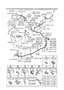 Diagram FUEL PIPINGS (2600CC)('87 & '88 MODELS) for your 1987 Mazda B2200
