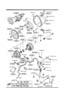 Diagram AUTOMATIC TRANSMISSION TORQUE CONVERTER, OIL PUMP & PIPINGS for your Mazda