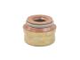 View SEAL. Valve Guide.  Full-Sized Product Image 1 of 10