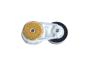 View TENSIONER. Belt.  Full-Sized Product Image