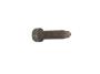 View SCREW. Pilot Point.  Full-Sized Product Image