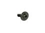 View SCREW. Canada, Export, Mexico.  Full-Sized Product Image 1 of 10