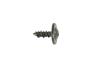 View SCREW. Canada, Export, Mexico.  Full-Sized Product Image