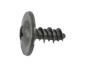 View SCREW. Canada, Export, Mexico.  Full-Sized Product Image