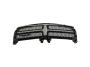 View GRILLE. Radiator. Painted/Black.  Full-Sized Product Image