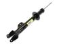 View SHOCK ABSORBER. Suspension. Front. Left.  Full-Sized Product Image