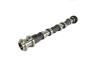 View CAMSHAFT. Exhaust. Left Side.  Full-Sized Product Image