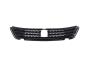 Image of GRILLE. Lower. [Bright/Bright Grille]. image for your 2001 Chrysler 300  M 