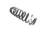 Image of SPRING. Rear Coil. Left, Right. [Spring - Left Rear]. image for your 2000 Chrysler 300  M 