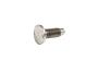 View BOLT. Carriage. M10.  Full-Sized Product Image 1 of 10