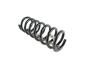 Image of SPRING. Front Coil. Left, Right. [Spring - Left Front]. image for your 2002 Chrysler 300  M 