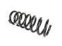 Image of SPRING. Front Coil. Left, Right. [Spring - Left Front]. image for your 2002 Chrysler 300  M 