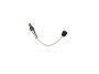 View SENSOR. Oxygen.  Full-Sized Product Image