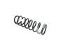 Image of SPRING. Front Coil. Left, Right. [Spring - Left Front]. image for your 1999 Chrysler 300  M 