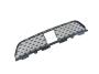 View GRILLE. Lower.  Full-Sized Product Image 1 of 5