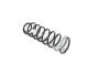 Image of SPRING. Front Coil. Left, Right. [Spring - Left Front]. image for your 2001 Chrysler 300  M 