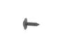 View SCREW.  Full-Sized Product Image 1 of 5