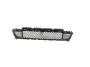 View GRILLE. Lower.  Full-Sized Product Image