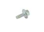 View SCREW.  Full-Sized Product Image 1 of 5