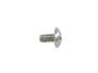 View SCREW.  Full-Sized Product Image