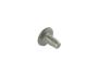 View SCREW.  Full-Sized Product Image