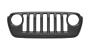 View GRILLE. Radiator.  Full-Sized Product Image